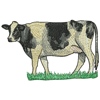 Cow 12546