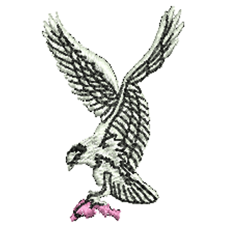 Eagle 10749
