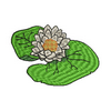 Water Lily 12978