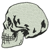Skull 10781